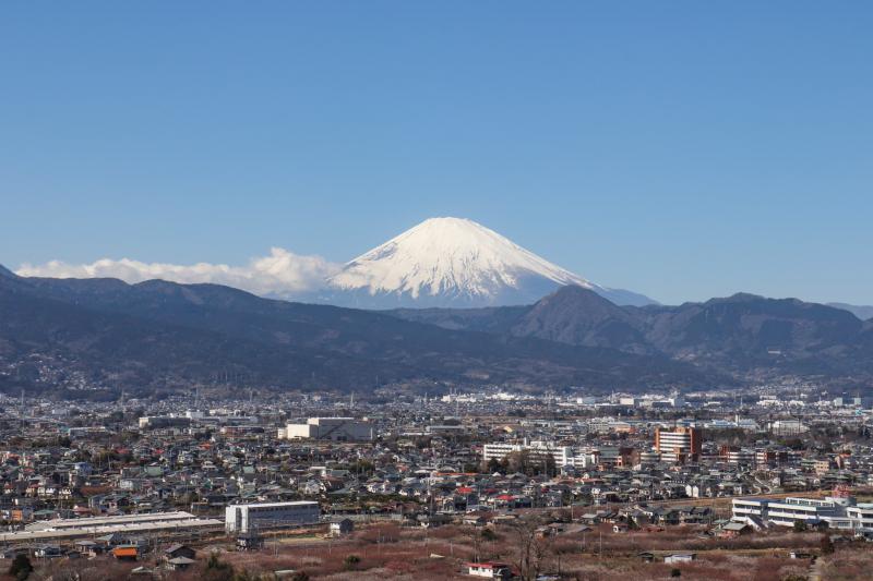 野菜の直売所販売について｜オイカワ