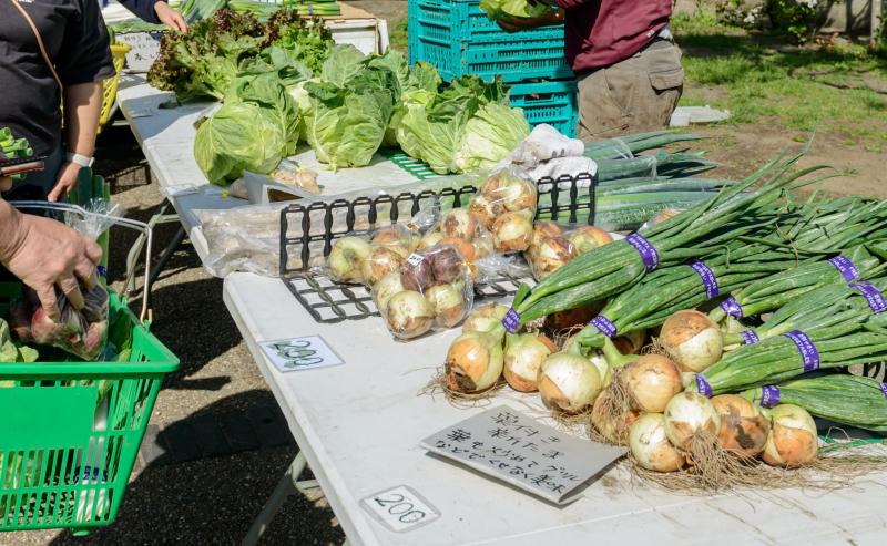 野菜の直売所販売について｜オイカワ
